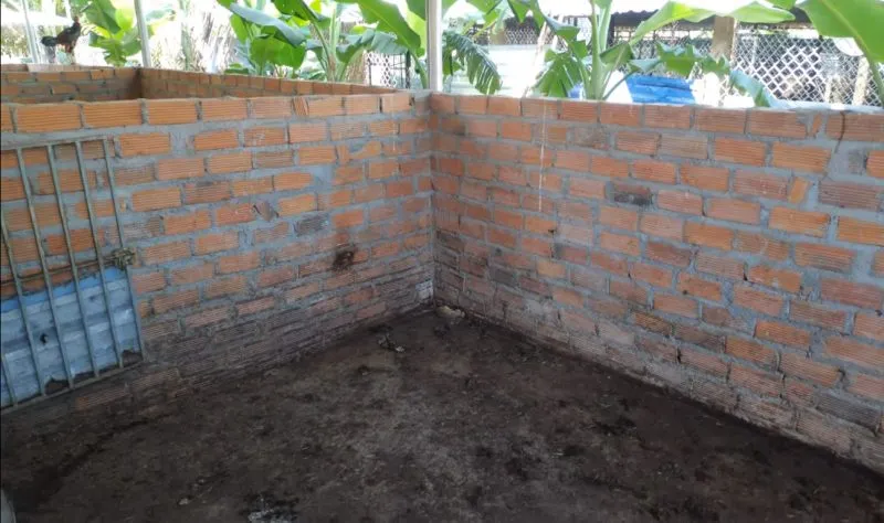 Chuồng heo rừng được xây dựng cao ráo, thoáng mát